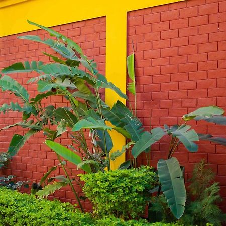 Mvt Guesthouse & Restaurant Rishīkesh 外观 照片